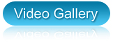 Video Gallery